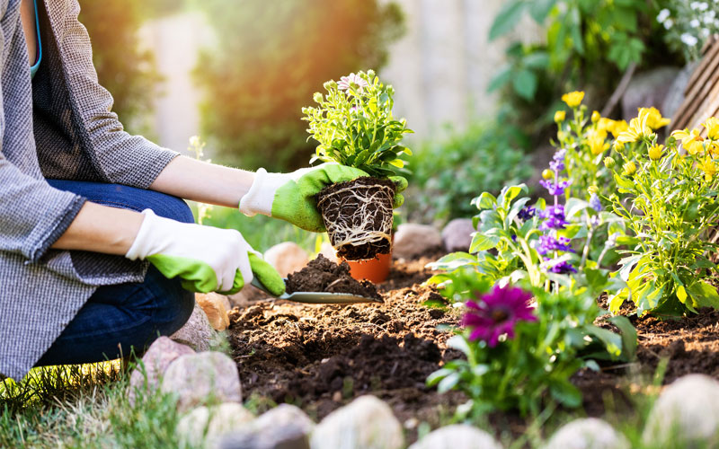 Spring Gardening Tips